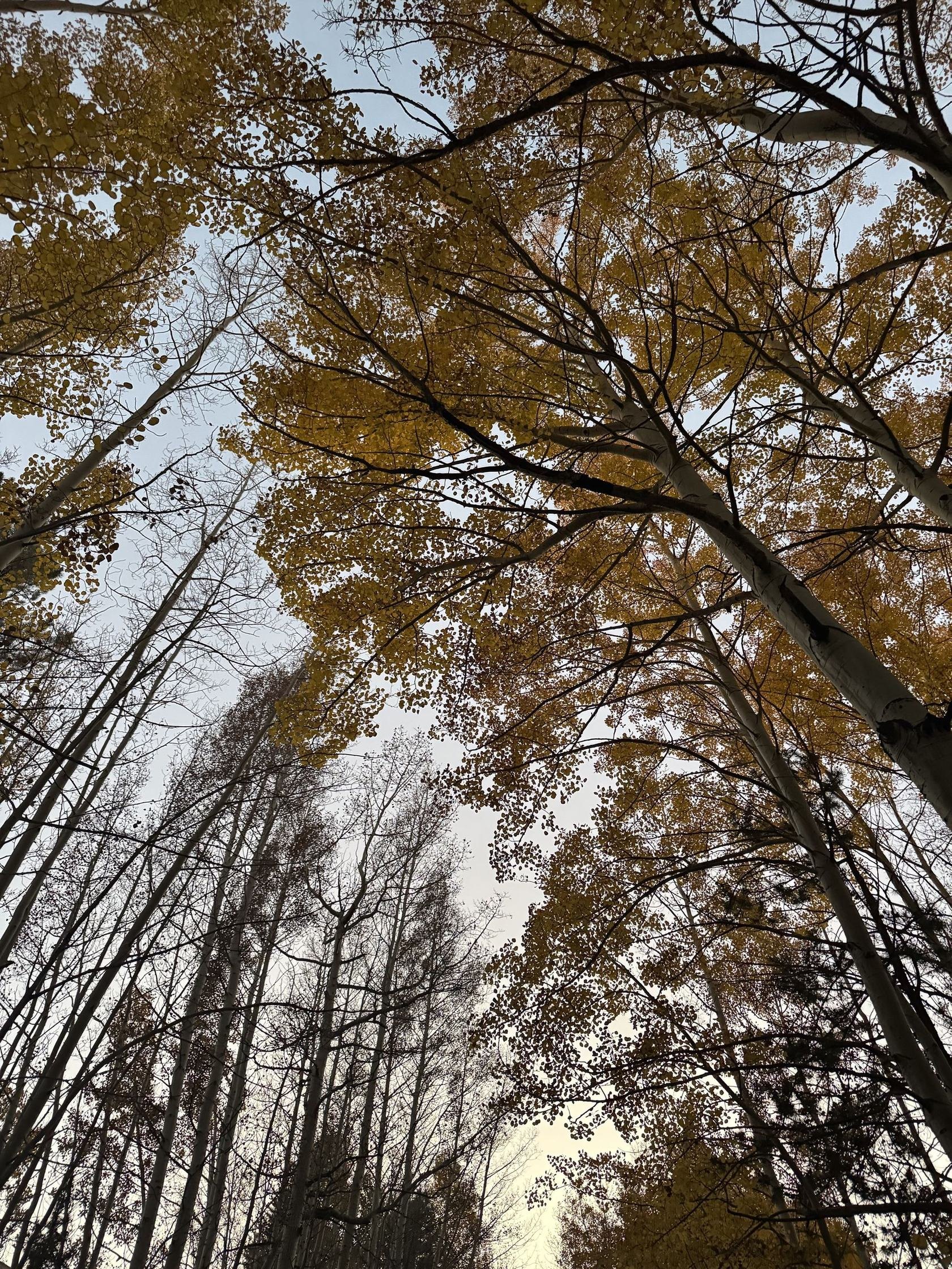 Still, by Design. — the trailer, the atmosphere