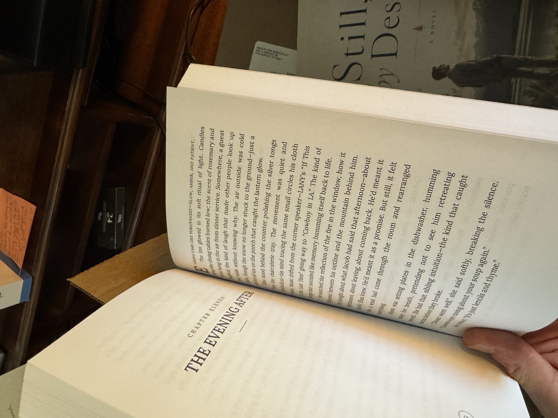 Still, by Design. — open to Chapter Eleven, The Evening After