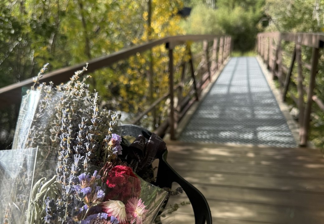 Wildflowers on a footbridge