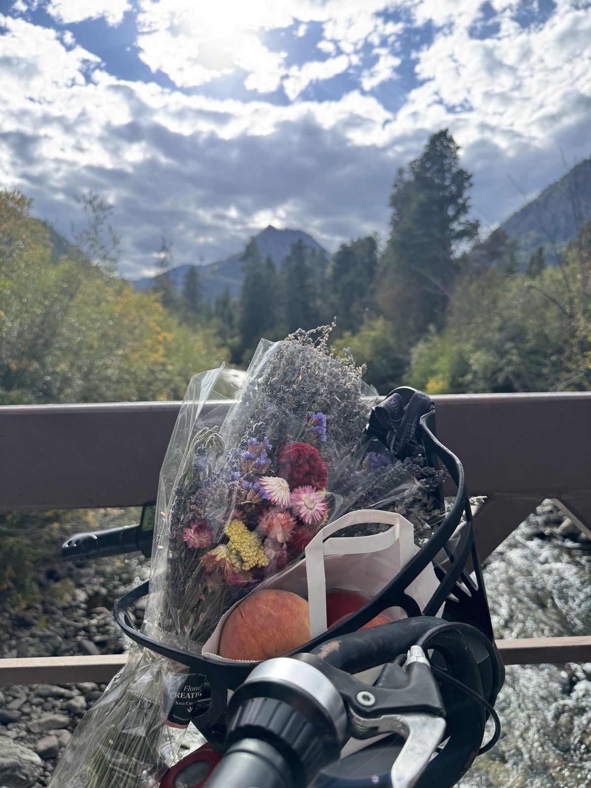 Looking over a bicycle's handlebars and basket of peaches and dried flowers toward Tenmile Creek, pine forest and mountains under a sky of broken clouds.