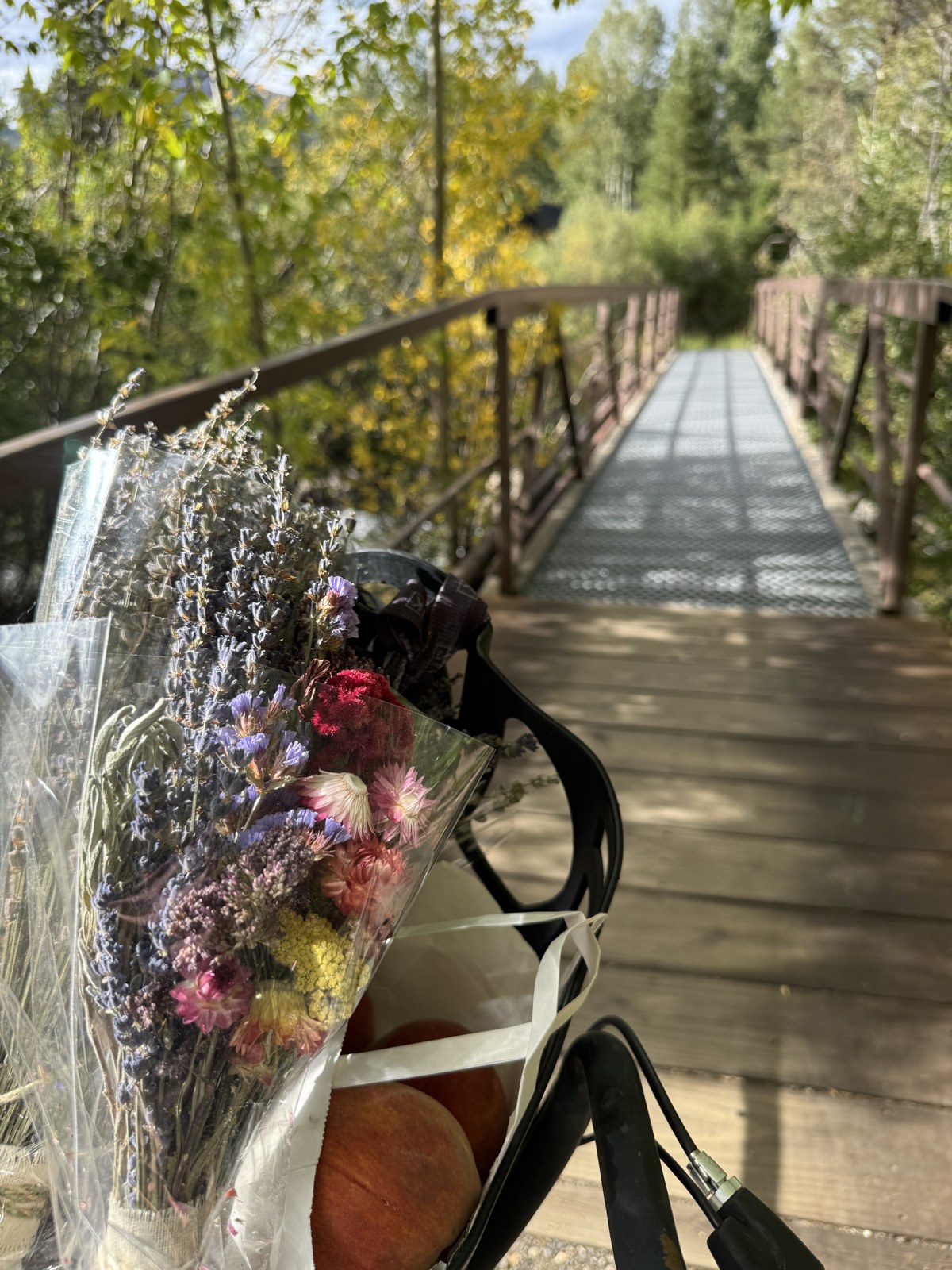 A bicycle basket holding a bouquet of dried flowers and a bag of peaches, parked at the entrance to a wooden footbridge over Tenmile Creek in Frisco, Colorado, with early gold in the trees.