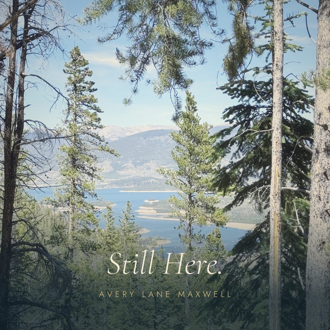 The cover of the album Still Here.: the lake seen through the pines.